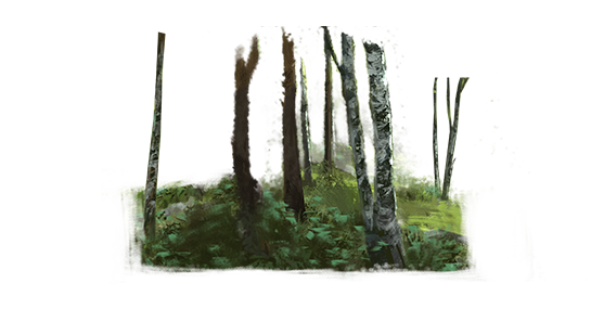 File:Tradition forest.png