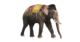 Tradition elephant.png